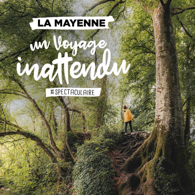 La Mayenne, un voyage inattendu