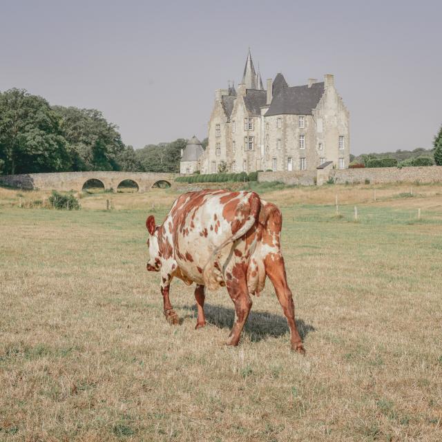 CP-2BS_Image___Drone_-_Mayenne_Tourisme-1920px3.jpg